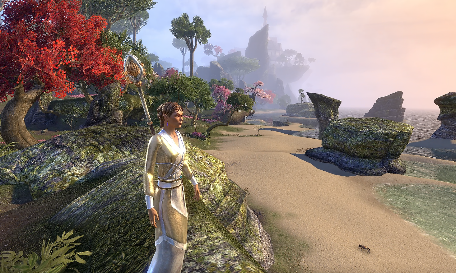 Auridon coastal vista